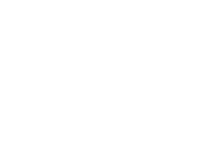 Alaa Tormos Watermark